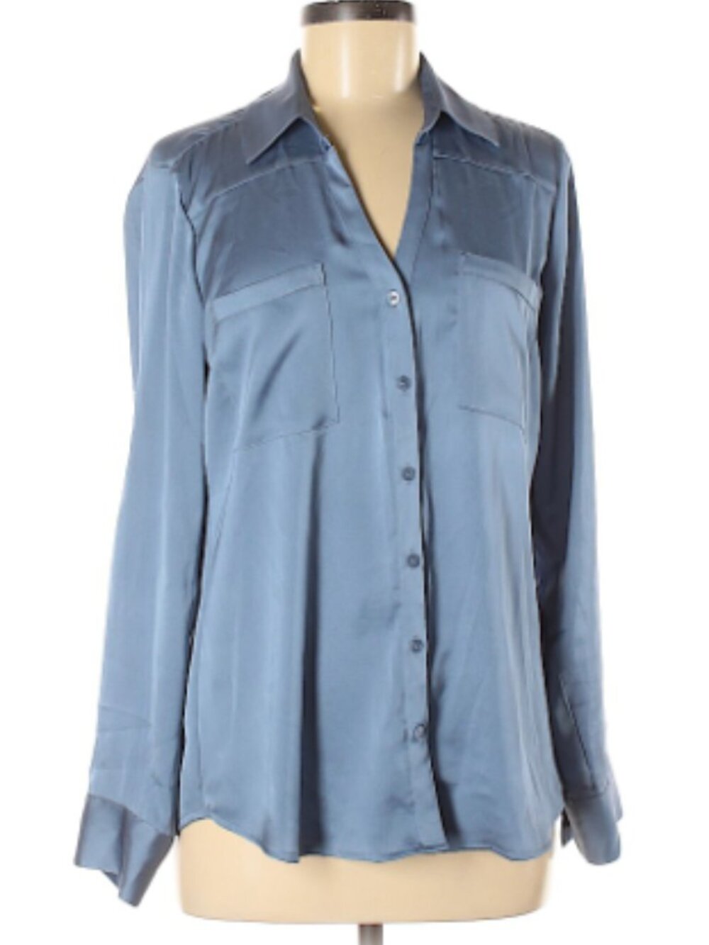 Express Profession Work Button Down Collared Shirt M Blue